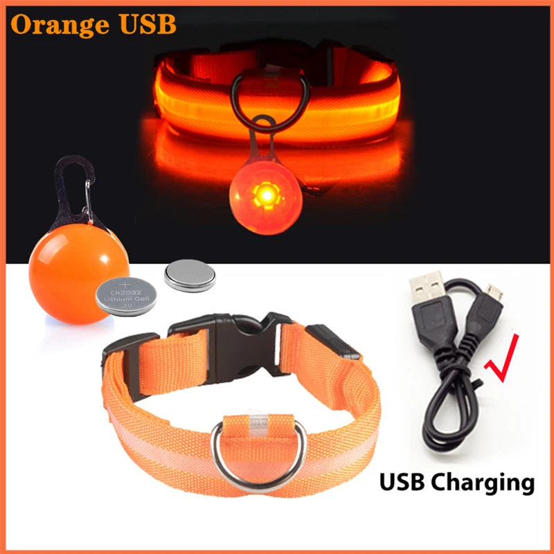 LED Glow Dog & Cat Collar – Night Safety