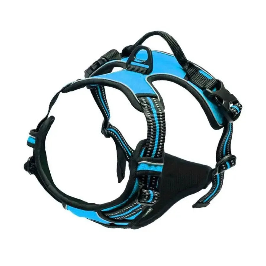 Dog Harness, Collar & Leash Set