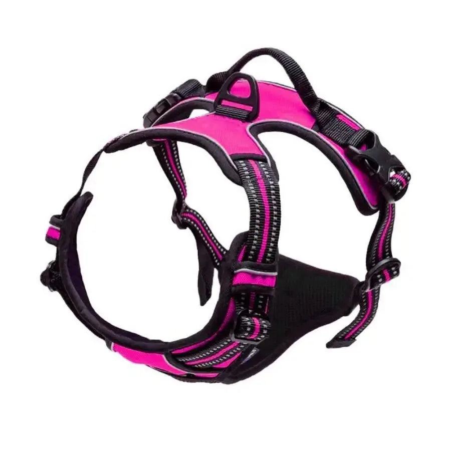 Dog Harness, Collar & Leash Set