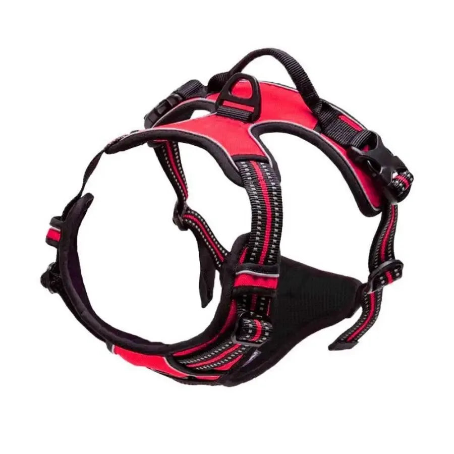 Dog Harness, Collar & Leash Set