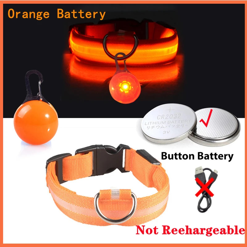 LED Glow Dog & Cat Collar – Night Safety