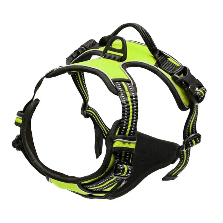 Dog Harness, Collar & Leash Set