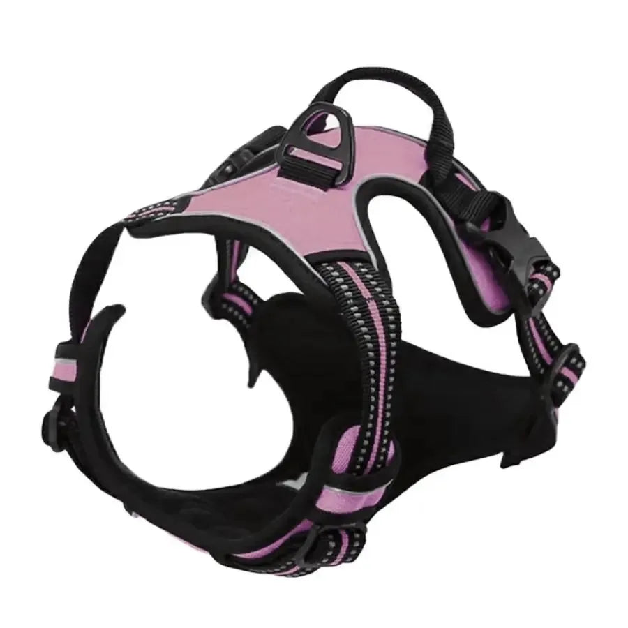 Dog Harness, Collar & Leash Set