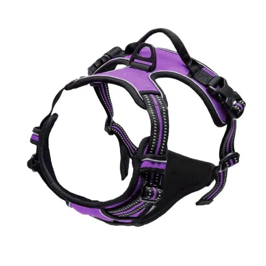 Dog Harness, Collar & Leash Set