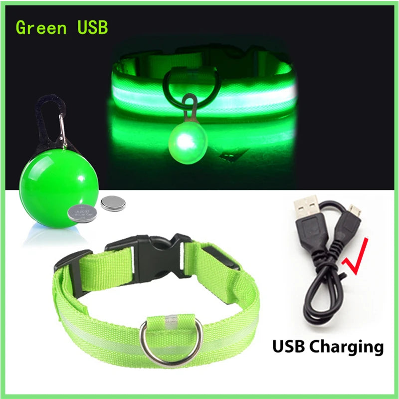 LED Glow Dog & Cat Collar – Night Safety