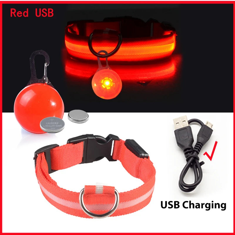 LED Glow Dog & Cat Collar – Night Safety