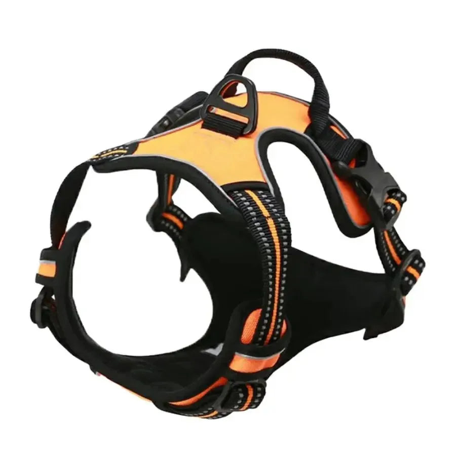 Dog Harness, Collar & Leash Set